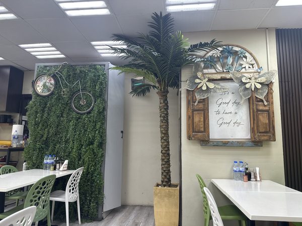 Empty dining room with a green foliage wall, vintage clock and bicycle wall art, a tall artificial palm and white tables with green and white chairs